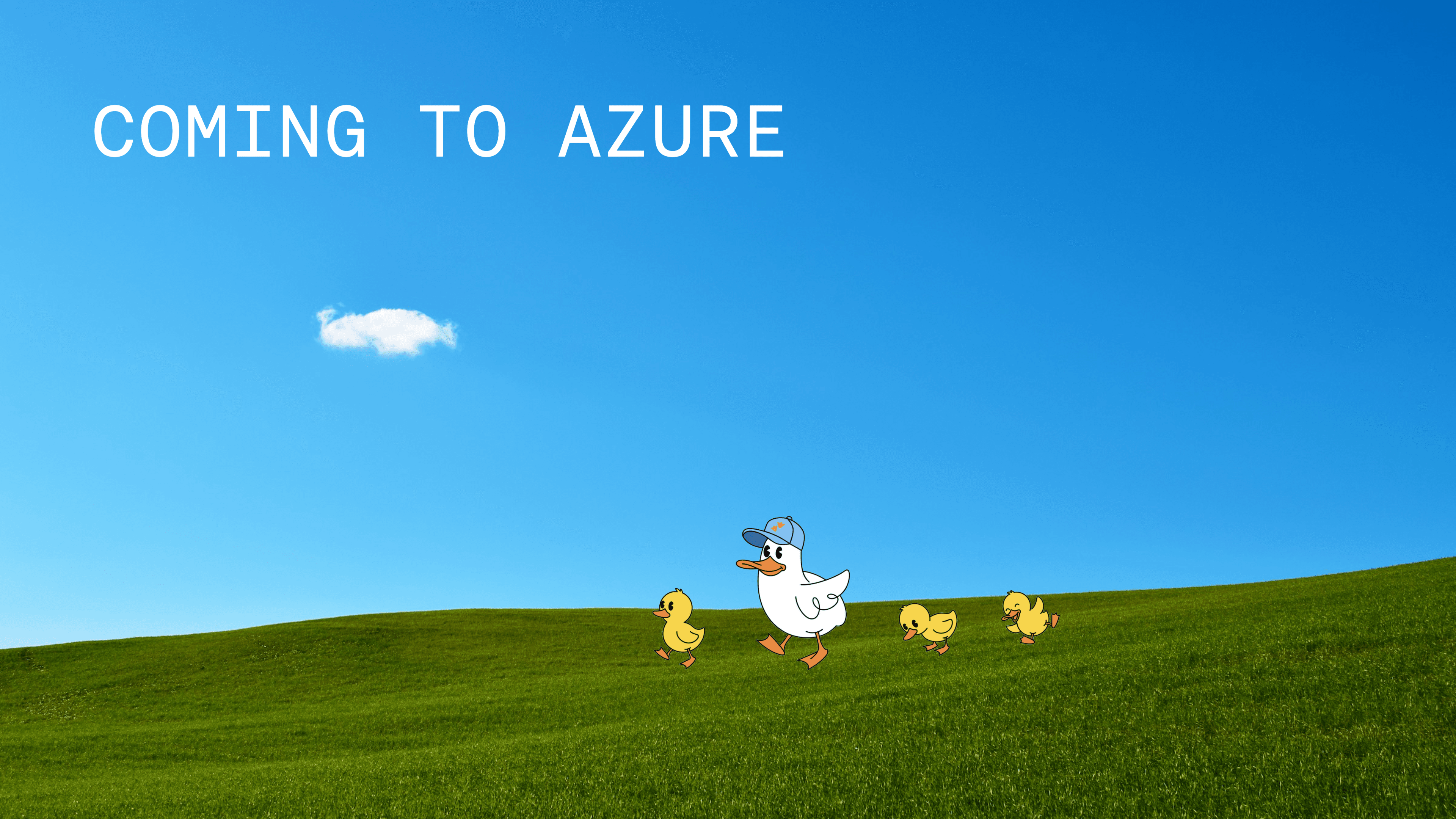 Azure Hero — Meadow (photo)@2x.png