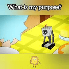 What is my purpose?